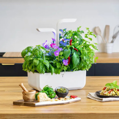 Véritable CLASSIC - bílý + 4 bylinkové náplně