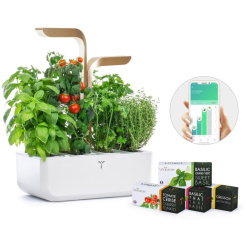 Véritable CONNECT - bílý/champagne + 4 bylinkové náplně 