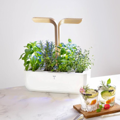 Véritable CONNECT - bílý/champagne + 4 bylinkové náplně