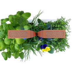 Véritable SMART s regulací osvětlení - černý + 4 bylinkové náplně