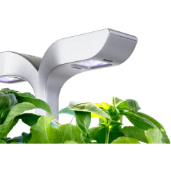 Véritable Exky CLASSIC - bílý + 2 bylinkové náplně