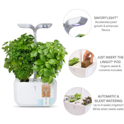 Véritable Exky CLASSIC - bílý + 2 bylinkové náplně