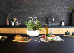 Véritable Exky CLASSIC - bílý + 2 bylinkové náplně