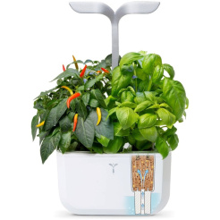 Véritable Exky SMART - bílý + 2 bylinkové náplně