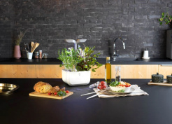 Véritable Exky SMART - bílý + 2 bylinkové náplně