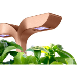 Véritable Exky SMART - černý + 2 bylinkové náplně