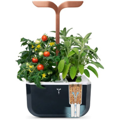 Véritable Exky SMART - černý + 2 bylinkové náplně