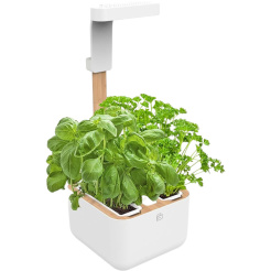  Véritable Botaneo + 2 bylinkové náplně 