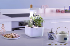 Véritable Botaneo + 2 bylinkové náplně