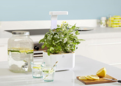 Véritable Botaneo + 2 bylinkové náplně