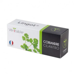  Véritable Lingot Koriandr 