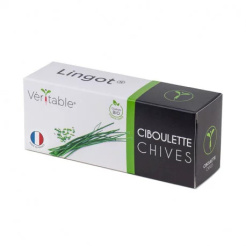  Véritable Lingot Pažitka - BIO 