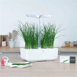 Véritable Lingot Pažitka - BIO