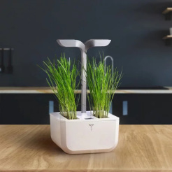 Véritable Lingot Pažitka - BIO