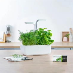 Véritable Lingot Kopr - BIO