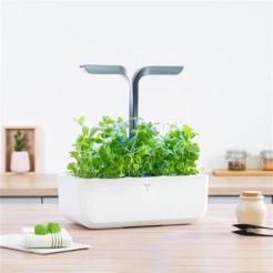 Véritable Lingot Marocká máta - BIO