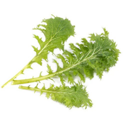 Véritable Lingot Wasabi hořčice listová - BIO