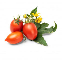 Véritable Lingot Červené mini rajče