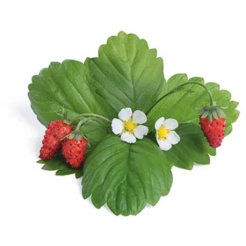 Véritable Lingot Divoké červené jahody