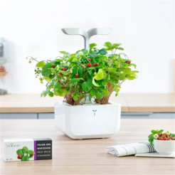 Véritable Lingot Divoké červené jahody