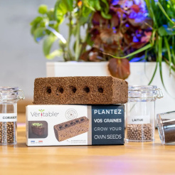 Véritable Lingot - bez semen