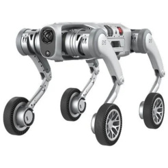  PUDU D5-W 