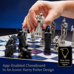 Particula GoChess Mini, Harry Potter edice