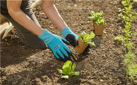 Správné rukavice pro práci s půdou