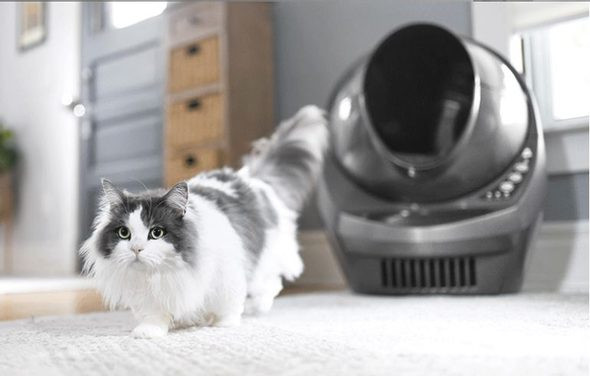 Pohotové řešení i pro více koček v domácnosti