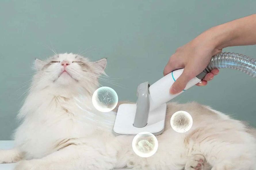 Zdravější a čistý domov