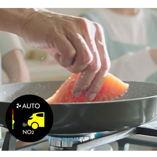 Absorbuje o 50% více NO2