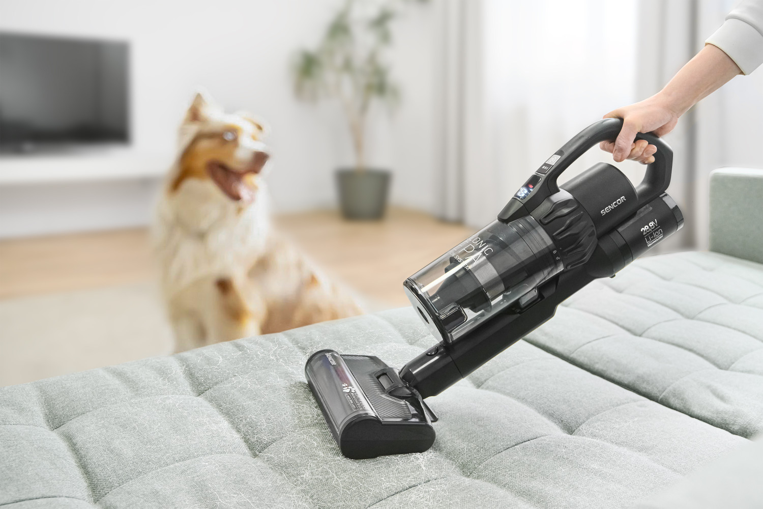 Dokonalé vysátí chlupů