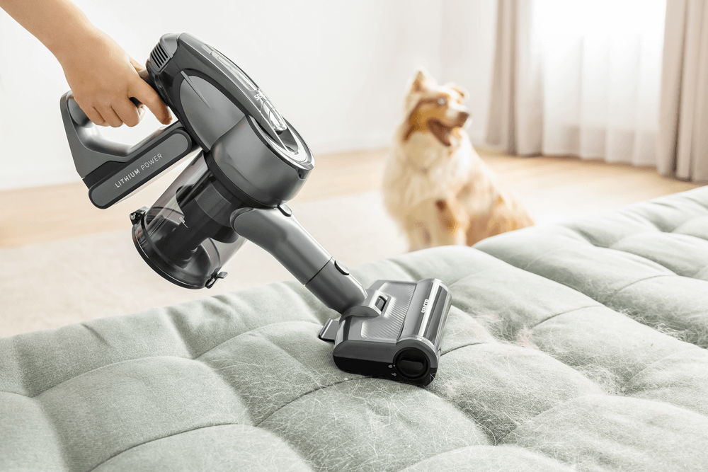 Mazlíček v domácnosti? Pro mě žádný problém!