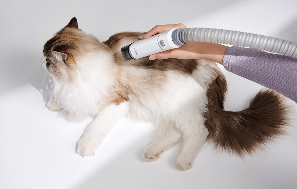 Tichý provoz pro pohodlí domácích mazlíčků